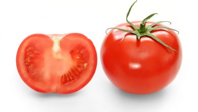 تصویر از توصیه‌های کودی برای محصول گوجه‌فرنگی