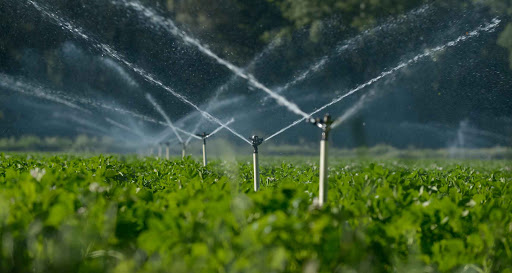 مصرف آب دربخش کشاورزی قم بهینه می‌شود
