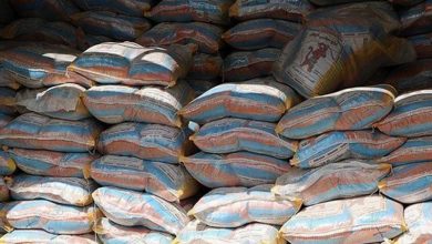 تصویر از ۲۵ هزار تن برنج رسوبی ترخیص شد/ جلسه با وزیر درباره پوشک