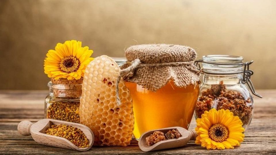 تولید سالانه 544 تن عسل در قائم‌شهر/ ارزش اقتصادی 380 میلیاردی