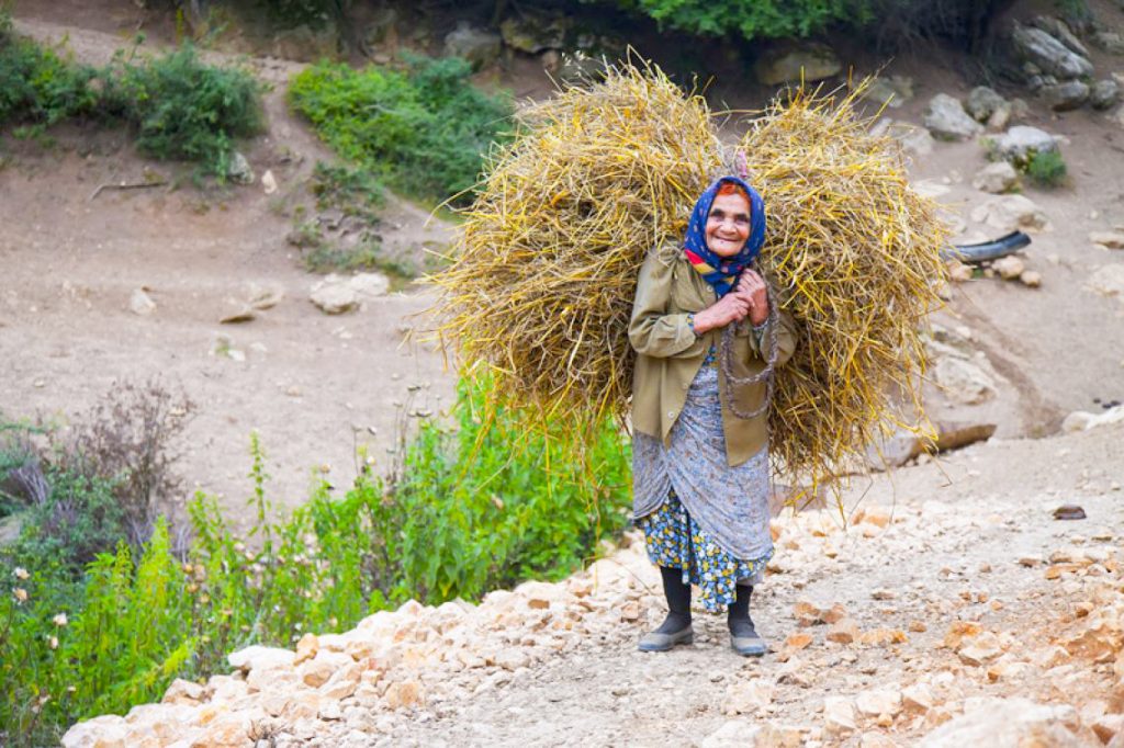 صندوق‌ اعتبار خرد زنان روستایی بوشهر برای ۱۵۶۸ نفر اشتغال ایجاد کرد