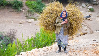 تصویر از صندوق‌ اعتبار خرد زنان روستایی بوشهر برای ۱۵۶۸ نفر اشتغال ایجاد کرد