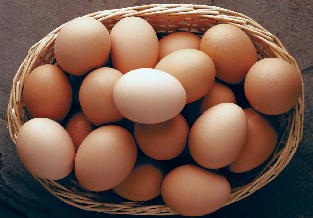 حذف شبکه دلالی در روند توزیع تخم مرغ از فردا