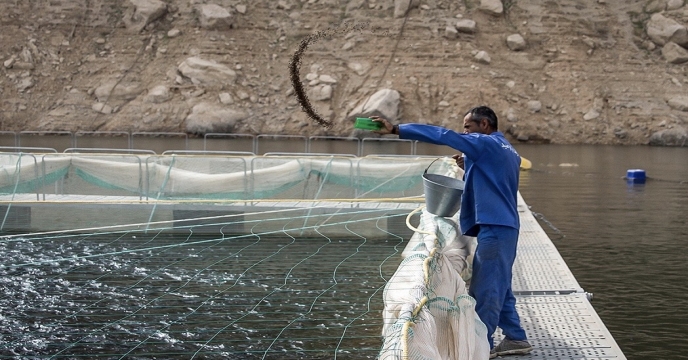 تأمین کودهای ماکرو مورد نیاز شیلات استان بوشهر