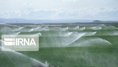 تصویر از آبیاری نوین و مدیریت بهینه مصرف آب در بخش کشاورزی
