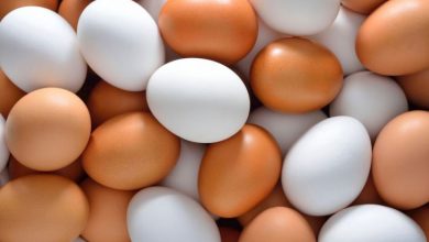 تصویر از بارندگی شدید در هند باعث گران شدن تخم مرغ در ایران شده است