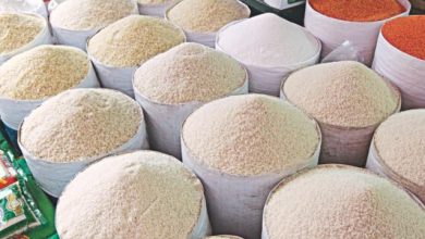 تصویر از فروش ۴۰هزار تن برنج وارداتی با ارز ۴۲۰۰ به دولت/توزیع به قیمت حاشیه بازار و ۲۰درصد تخفیف