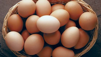 تصویر از حذف شبکه دلالی در روند توزیع تخم مرغ از فردا