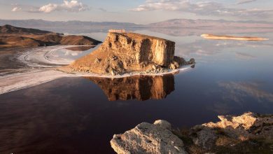 تصویر از مصوبات ستاد احیای دریاچه ارومیه در بخش کشاورزی اصلاح شود