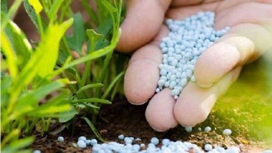 تصویر از تامین 4238تن کود شیمیایی توسط شرکت خدمات حمایتی
