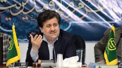 تصویر از امنیت غذایی دغدغه بزرگ دولت هاست