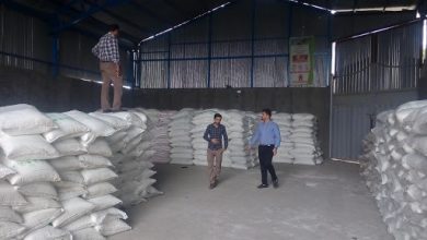 تصویر از بازدید دوره ای از کارگزاران توزیع نهاده استان قم