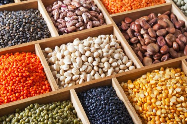 تخصیص ارز نیمایی قیمت حبوبات را افزایش داد؛ عدم امکان برداشت مکانیزه و بی‌انگیزگی کشاورزان