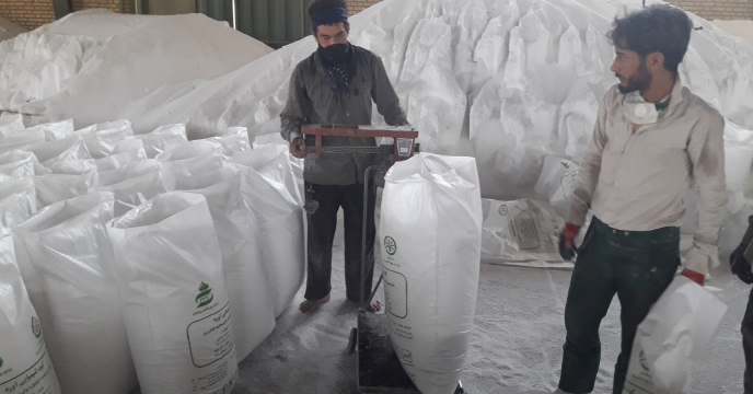 آغاز برداشت خرما در شهرستان رودان