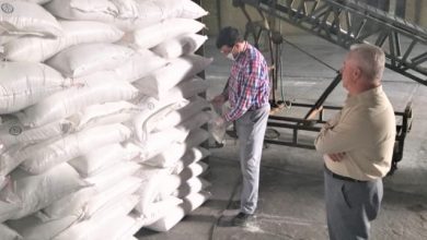 تصویر از نمونه برداری از کود نیترات آمونیوم سولفات گرانول