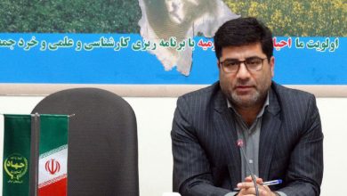 تصویر از خرید بیش از ۴۵ هزار تن گندم در آذربایجان شرقی