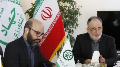 تصویر از مشکلی در تامین کود اوره برای محصولات اساسی وجود ندارد
