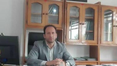 تصویر از توسعه کشت نشایی ذرت برای کاهش مصرف آب در نقده