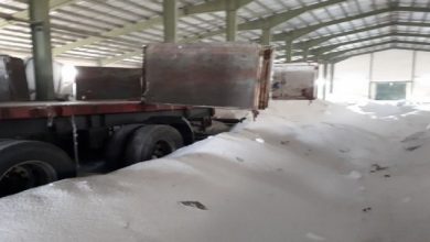 تصویر از تامین کود برای 3000 هکتار باغات گیلاس در مازندران