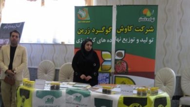 تصویر از تامین کود فسفاته از شرکت های تولیدکننده داخلی کود و مورد تفاهم شرکت