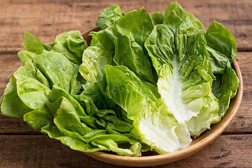 اصول و شرایط مناسب برای پرورش کاهو