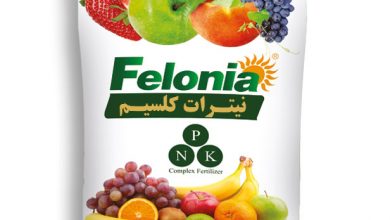 تصویر از اثرات کمبود کلسیم روی گیاهان
