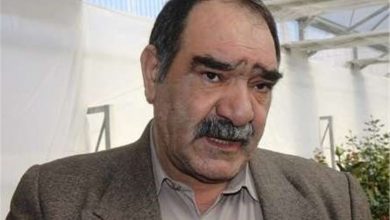 تصویر از معاون وزیر: من هم میوه را گران می خرم/ دولت جلوی صادرات محصولات باغی را نگیرد