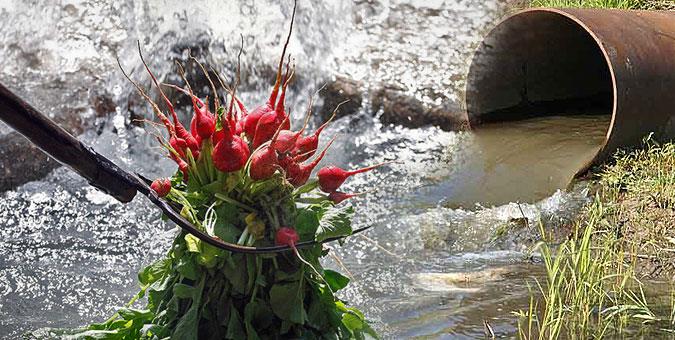 آبیاری زمین های کشاورزی حاشیه گرگان با فاضلاب