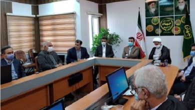 تصویر از سهم پایین بانک ها در بخش کشاورزی/ ضرورت بهره گیری از روش های نوین