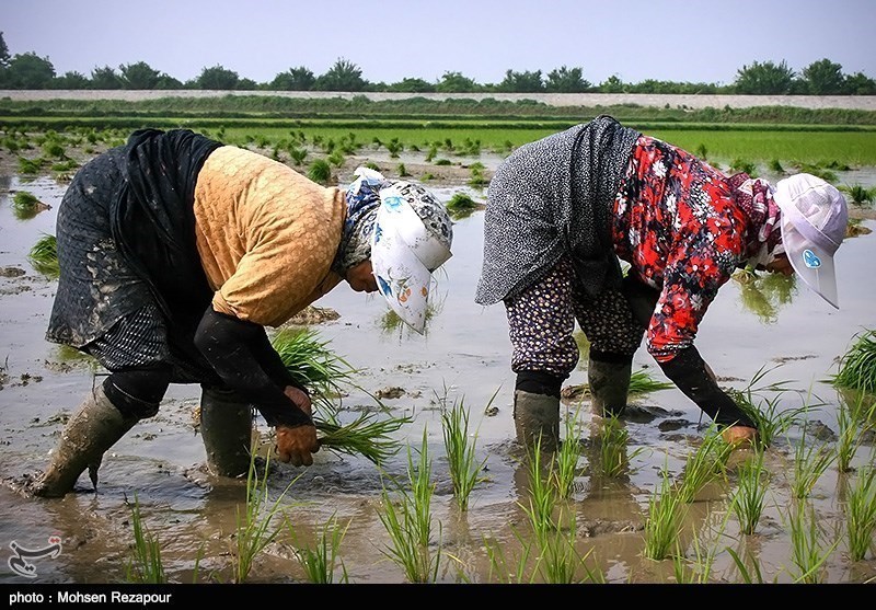 «معجزه آبخیزداری»|نجات روستاهای کشور از مرگ خاموش با آبخیزداری