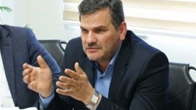 تصویر از چرا مرغ و تخم‌مرغ گران شد؟ ۶۰ درصد کنجاله سویای مورد نیاز کشور تامین شد؛ کسری ۷۰۰ هزار تنی