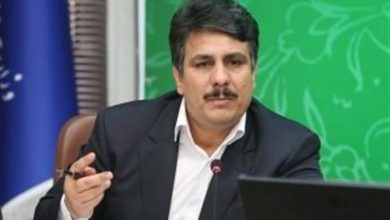 تصویر از الزام وزارت جهاد به تعیین سهمیه نهاده براساس محصول نهایی/ برگزاری جلسه هفته آینده در سطح دولت