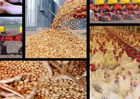 نبی پور: یک سوم نهاده‌های دولتی را رانتی فروخته‌اند