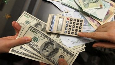 تصویر از نوسانات قیمت در بخش کشاورزی متاثر از تغییرات مداوم نرخ ارز است