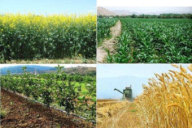 یکپارچه سازی سیستم اطلاعاتی برای ارتقای بخش کشاورزی ضروری است