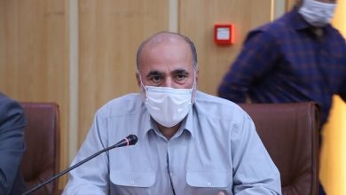 تصویر از دولت عامل ایجاد نوسان در بازار برنج/ خرید تضمینی ضروری است