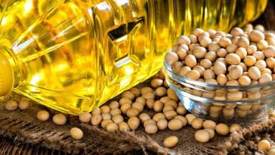 تصویر از پیش بینی بازار جهانی روغن سویا تا سال ۲۰۲۲