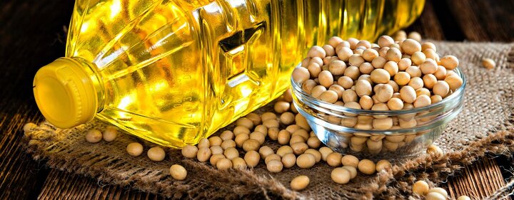 پیش بینی بازار جهانی روغن سویا تا سال ۲۰۲۲