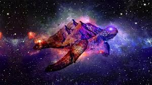 تصویر از کرونا رویداد بین المللی دام و طیور SPACE را مجازی کرد