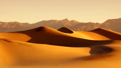 تصویر از ۱۰۰ میلیون هکتار اراضی کشور در معرض بیابانی شدن و تخریب است
