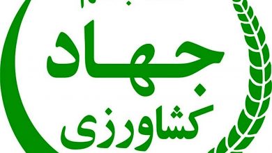 تصویر از وزارت جهاد کشاورزی خواستار ۱۰۰۰ میلیارد تومان تسهیلات برای تامین کود شد