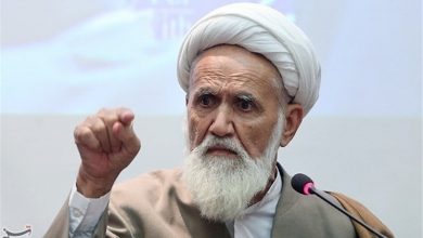 تصویر از «معجزه آبخیزداری» |نظرات آیت الله حائری شیرازی درباره آبخیزداری/ شعار وزارت جهاد کشاورزی باید آبخیزداری باشد