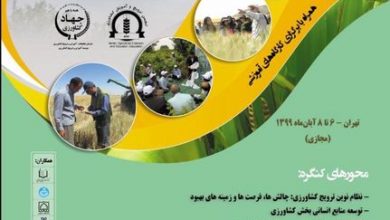 تصویر از هشتمین کنگره ملی علوم ترویج و آموزش کشاورزی، منابع طبیعی و محیط‌زیست پایدار