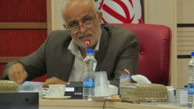 تصویر از توجه به صنایع تبدیلی در استان یک نیاز اساسی است