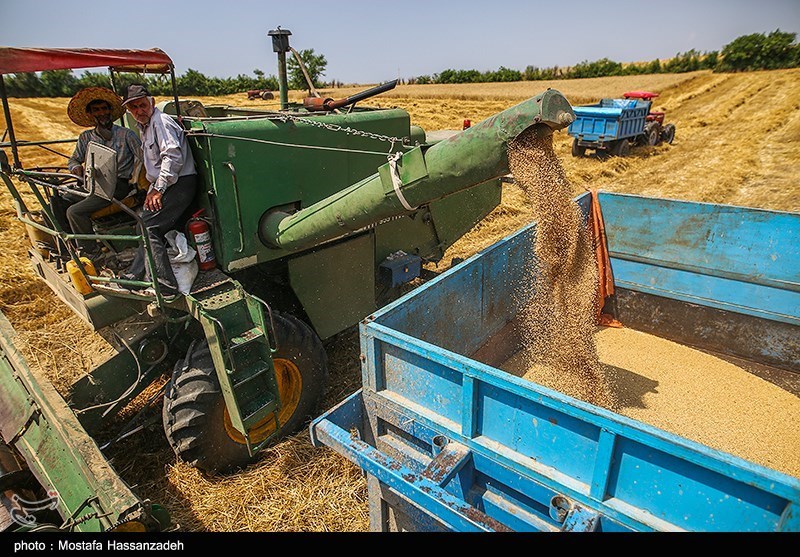 فائو: ایران رتبه ۹ دنیا در ذخیره سازی غلات شد