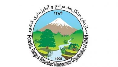 تصویر از ۲۸۰ هزار هکتار عملیات آبخیزداری و آبخوان‌داری در ۴ ماه گذشته اجرا شد