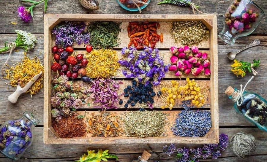 اراضی زیر کشت گیاهان دارویی در چهارمحال و بختیاری افزایش می یابد