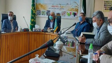 تصویر از تنها ۱۵ درصد ارزش افزوده کشاورزی به بخش تولید اختصاص دارد