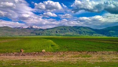 تصویر از دشت مغان از بزرگ ترین مراکز اقتصاد مقاومتی ایران است