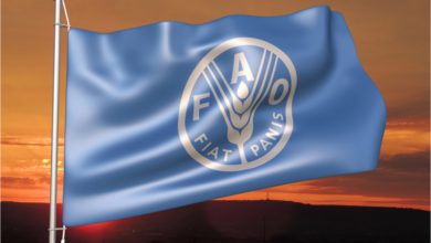 تصویر از هشدار فائو: مقاومت میکروبی امنیت غذایی و معیشت میلیون‌ها خانوار کشاورز را تهدید می‌کند